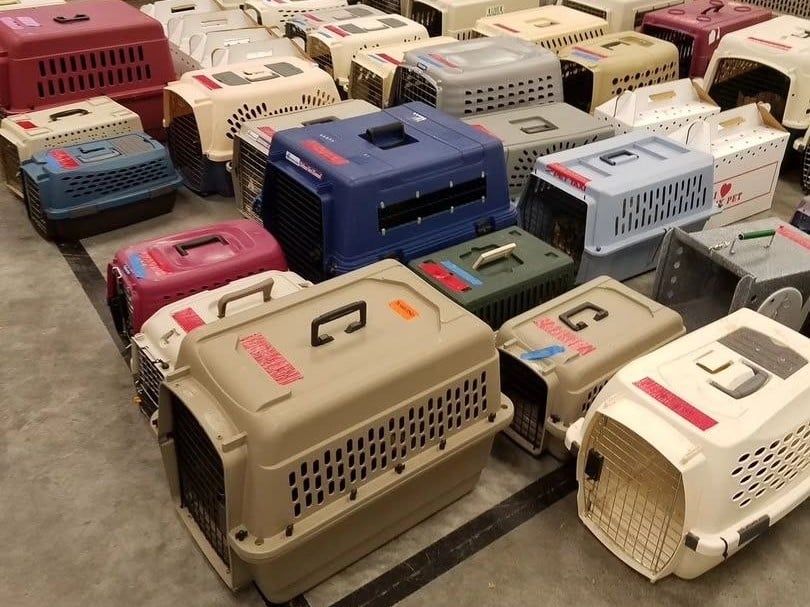 Rows of travel crates lined up and ready for departure