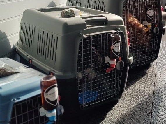 Secure travel crates with water bottles, loaded for transport
